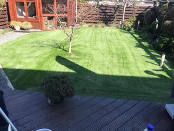 Kunstgras in Den Haag