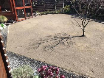 Kunstgras in Den Haag